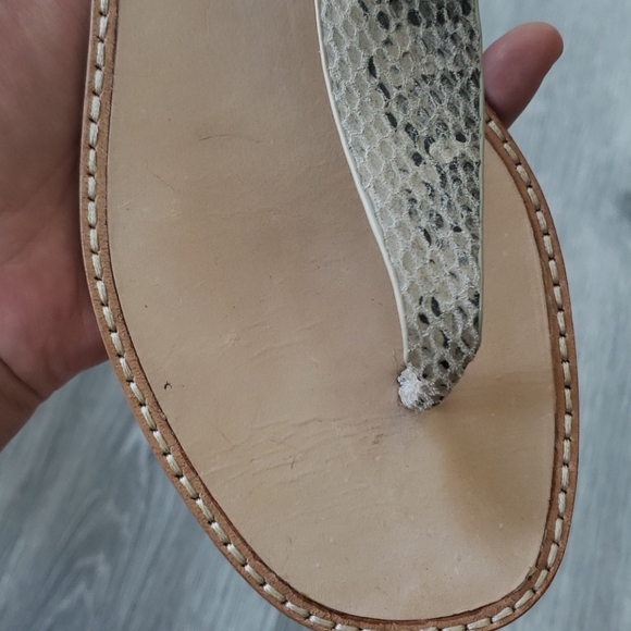 Joie Eri Snake Print Leather Gladiator Sandals - Picture 3 of 9